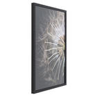 Quadro Decorativo com Vidro e Moldura de Madeira 50x70 Dandelion Preto