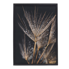 Quadro Decorativo com Vidro e Moldura de Madeira 50x70 Natur Preto