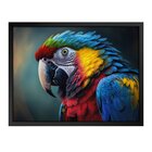 Quadro 60cm X 80cm Animal Arara Tropical Artes Preto