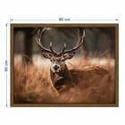 Quadro 60cm X 80cm Animal Cervo Tropical Artes Freijó