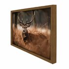 Quadro 60cm X 80cm Animal Cervo Tropical Artes Freijó