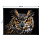 Quadro 60cm X 80cm Animal Coruja Tropical Artes Preto