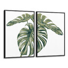 Quadro 90x120cm Folhagem Mostera Eratty Moldura Flutuante/fil