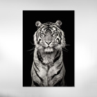 Quadro  Tigre Branco