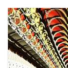 Quadro Abstrato Caracol Uniart Marrom 45x45cm