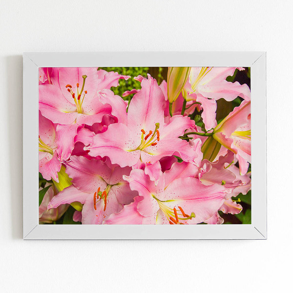 Quadro Açucena Lilium Candidum Flor Moldura Branca 60x40cm