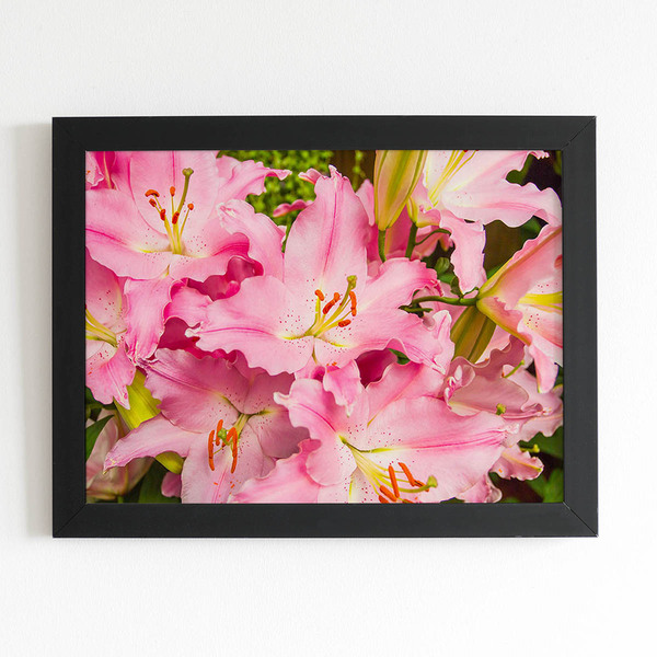 Quadro Açucena Lilium Candidum Flor Moldura Preta 60x40cm