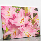 Quadro Açucena Lilium Candidum Rosa Flor Canvas 100x70cm