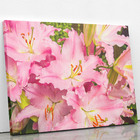 Quadro Açucena Lilium Candidum Rosa Flor Canvas 60x40cm