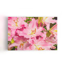 Quadro Açucena Lilium Candidum Rosa Flor Canvas 60x40cm