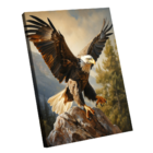 Quadro Águia Na Rocha -- Br Artes