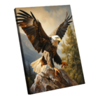 Quadro Águia Na Rocha -- Br Artes