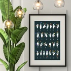 Quadro Alfabeto Manual Libras - 60x48cm Moldura:madeira Branca