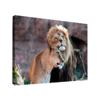 Quadro Amor De Leão -- Br Artes Pequeno 60x40