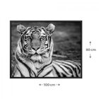 Quadro Animais Com Vidro 100x80cm Belchior