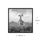 Quadro Animais Com Vidro 60x60cm Belchior