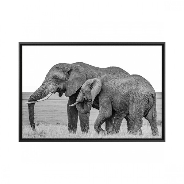 Quadro Animais Com Vidro 90x60cm Belchior