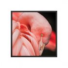 Quadro Animais Sem Vidro 40x40cm Belchior