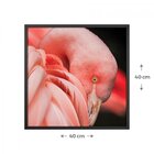 Quadro Animais Sem Vidro 40x40cm Belchior