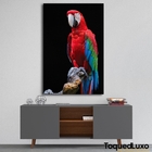 Quadro Arara - 1 Tela