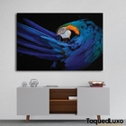 Quadro Arara Azul - 1 Tela
