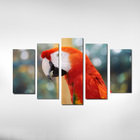 Quadro Arara Parrot Para Decorar Sua Sala