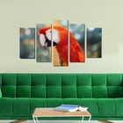 Quadro Arara Parrot Para Decorar Sua Sala
