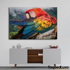 Quadro Arara Vermelha - 1 Tela Estampado