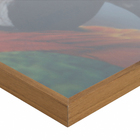 Quadro Arara Vermelho e Verde e Branco com Vidro 40x60cm Tropical