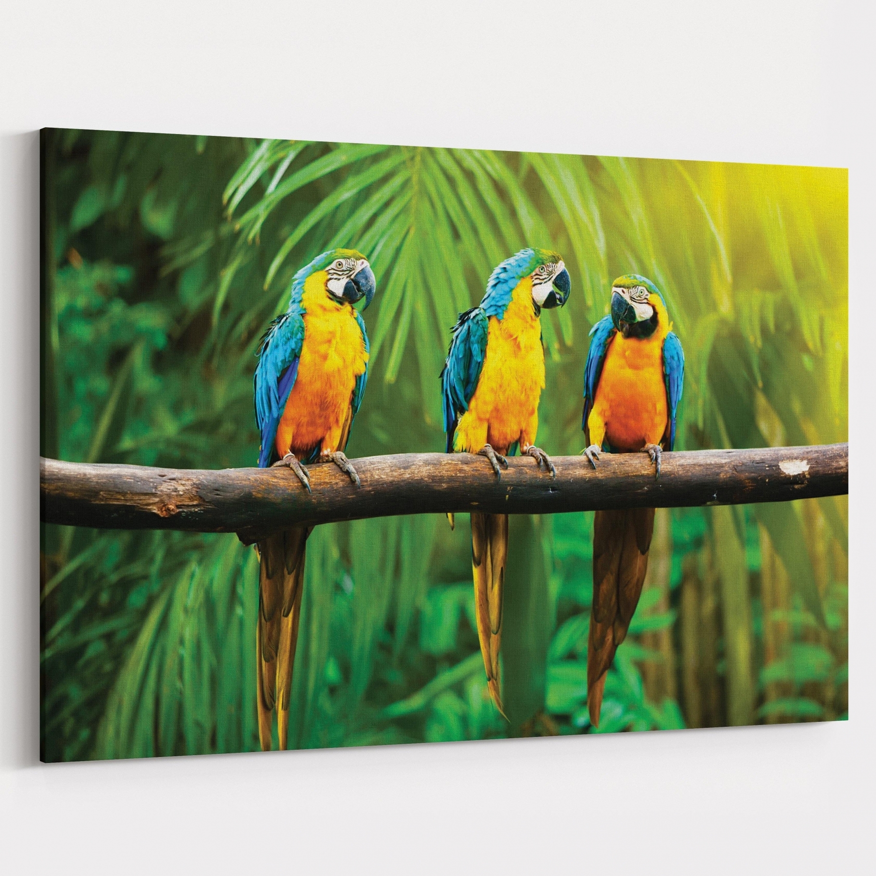 Quadro Araras Paisagem - 1 Tela | Leroy Merlin