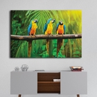 Quadro Araras Paisagem - 1 Tela