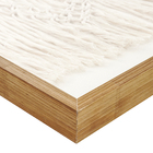 Quadro Arte Manual Rendas Bege com Vidro 50x120cm Arte Própria