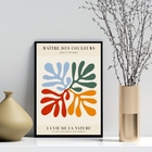 Quadro Arte Matisse Abstrata Colorida 45x34cm - Com Vidro Mol