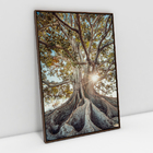 Quadro Árvore Da Vida Com Raízes Expostas Paisagem Decorativa