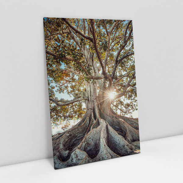 Quadro Árvore Da Vida Raízes Expostas Tronco Decorativo Paisa