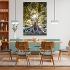 Quadro Árvore Presença