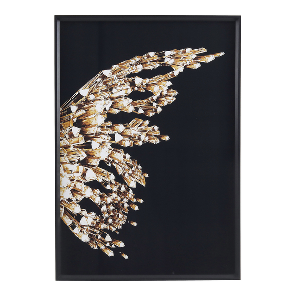 Quadro Asa Direita Preto com Vidro 70x100cm Arte Própria