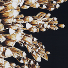 Quadro Asa Direita Preto com Vidro 70x100cm Arte Própria