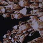 Quadro Asa Esquerda Preto com Vidro 70x100cm Arte Própria