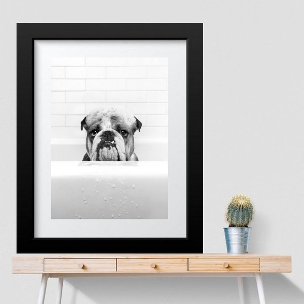 Quadro Banheiro Bulldog Inglês - 60x48cm Moldura:madeira Preta