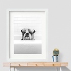 Quadro Banheiro Bulldog Inglês - 60x48cm Moldura:madeira Preta
