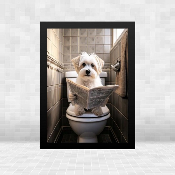 Quadro Banheiro Cão Maltês Lendo Jornal 45x34cm - Com Vidro M