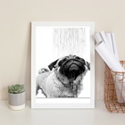 Quadro Banheiro - Pug Tomando Banho 24x18cm - Com Vidro Moldu