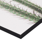 Quadro Barcelona Cacto Cereus Verde 40x50cm