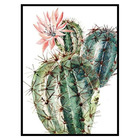 Quadro Barcelona Cacto Verde 50x70cm