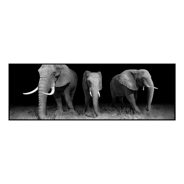 Quadro Barcelona Elefante Preto E Branco 30x90 Cm Leroy Merlin