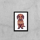 Quadro Basset Hound 45x34cm - Com Vidro Moldura:madeira Branca