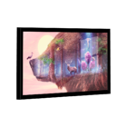 Quadro Bear Vision -- Br Artes