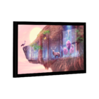 Quadro Bear Vision -- Br Artes