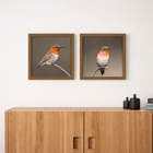 Quadro Beija Flor Cinza com Vidro 30x30cm Arte Própria